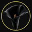 Mistress Claudia Sky Logo