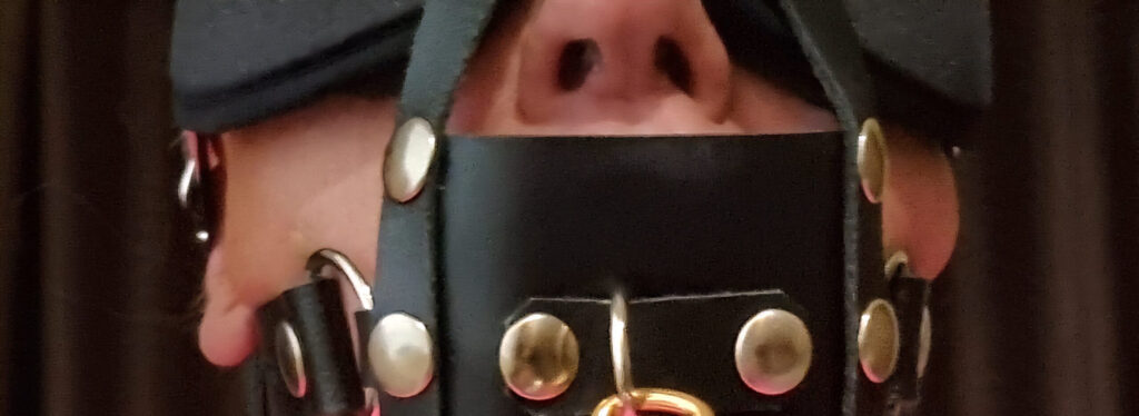Uncompromising bondage & sensory deprivation sessions with Dominatrix Mistress Claudia Sky